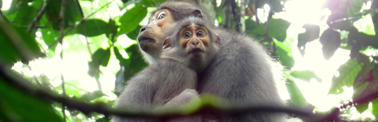 1240×400 WCF_Ecotourisme Taï (12)